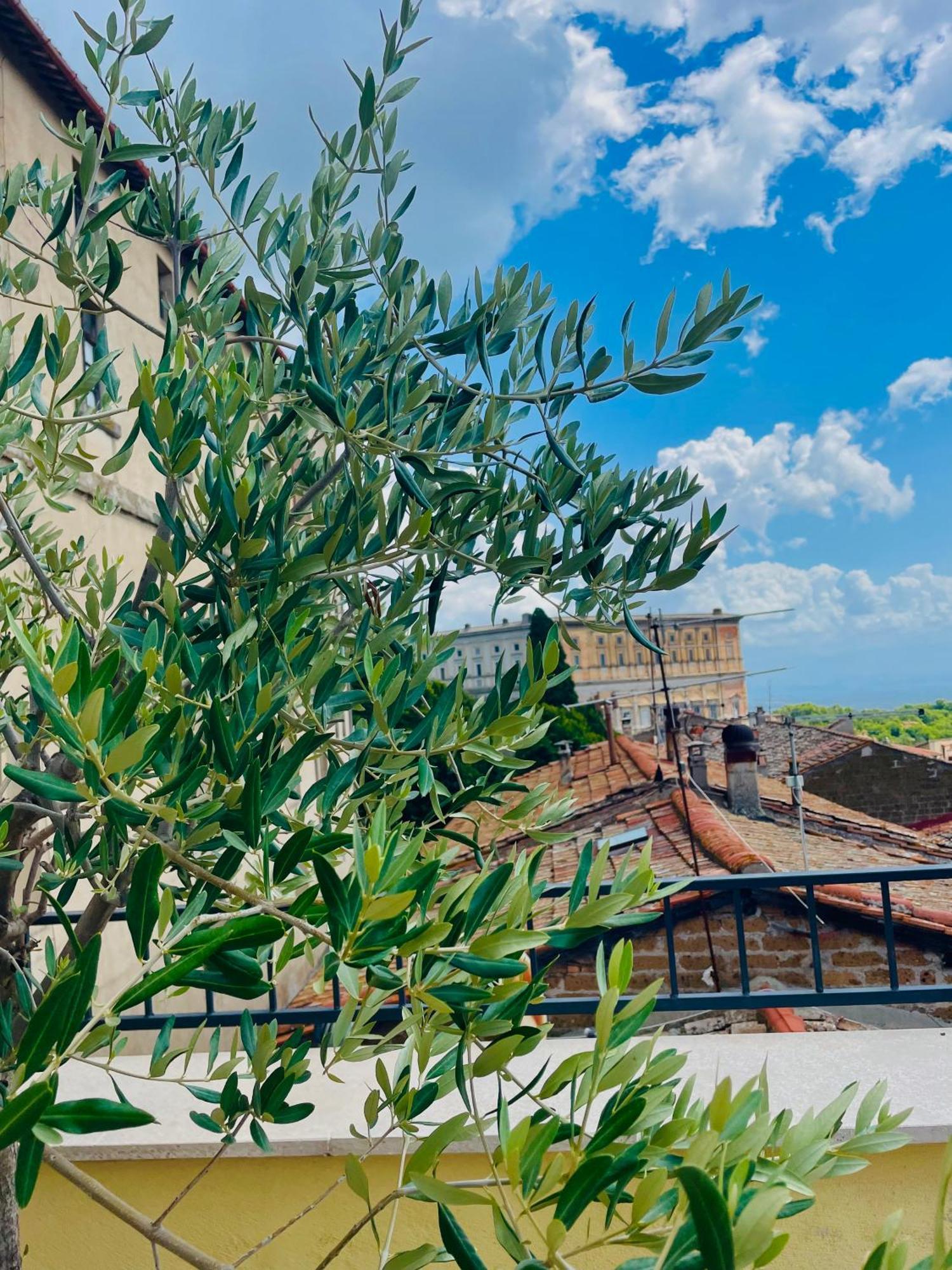 Casa Checca Appartamenti Per Vacanze Caprarola Luaran gambar